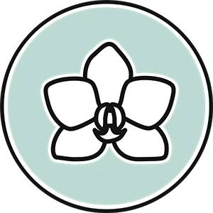 Icon grün einer Orchidee