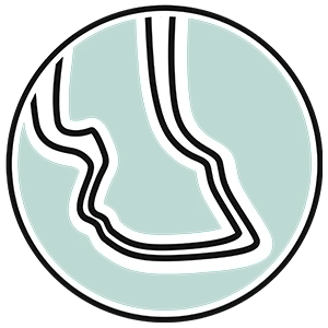 Icon anatomische Passform in Grün mit Pferdehuf