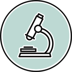 Icon Labor in Grün