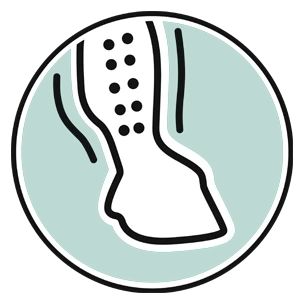 Icon zweireihiger Hakenverschluss