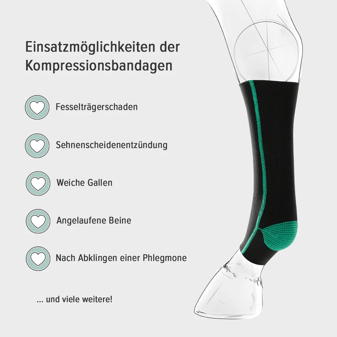 Anwendungsmöglichkeiten der EquiCrown Kompressionsbandagen