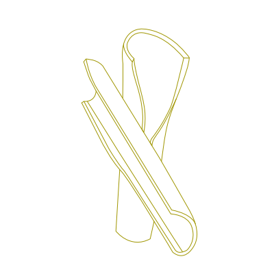 Illustration einer Weidenrinde