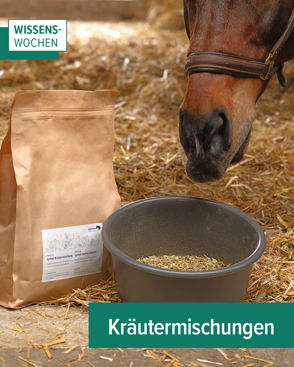 EquiCrown Wissenwochen: Pferd riecht an Futternapf mit Kräutern, Verpackung steht daneben