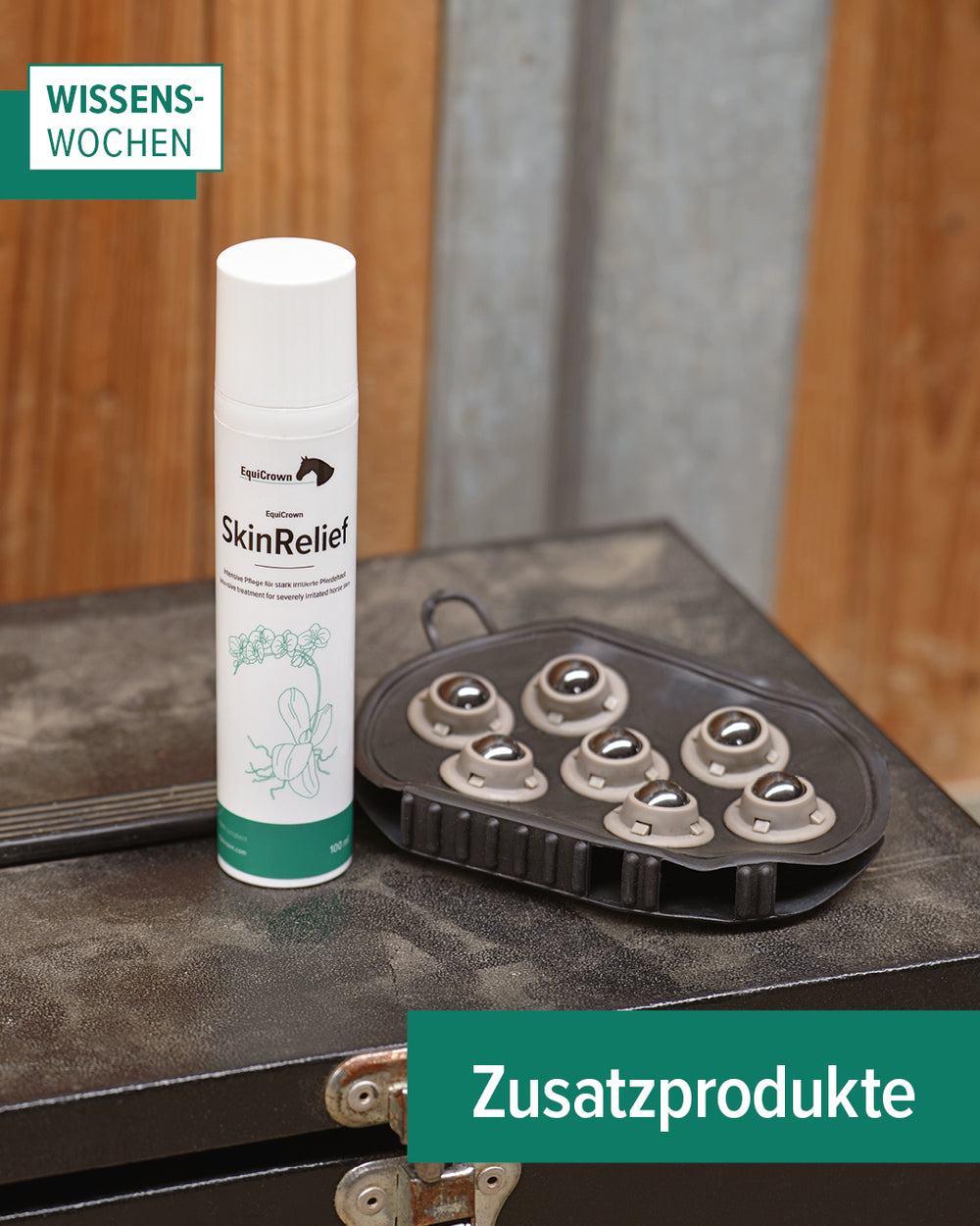 EquiCrown Wissenwochen: SkinRelief und Massagestriegel stehen auf Putzkoffer