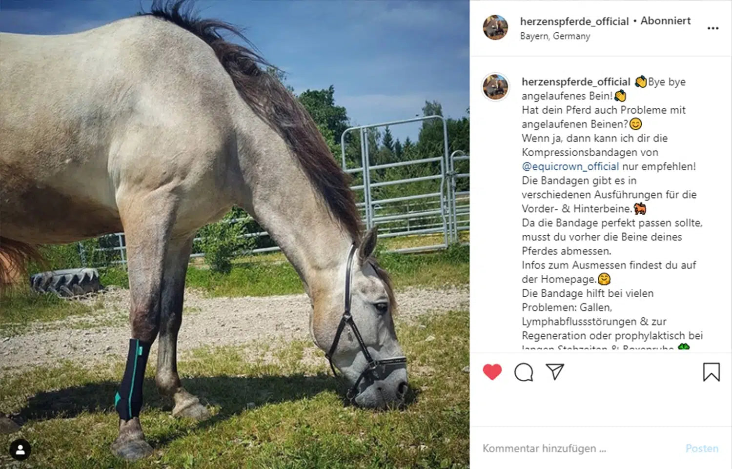 Instagram-Screenshot von Content Creatorin herzenspferde_official