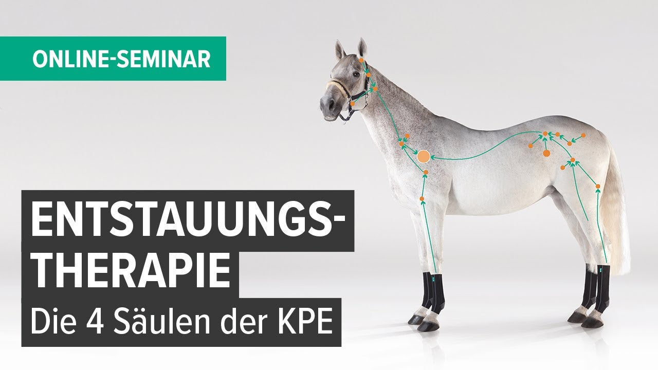 Video laden: 