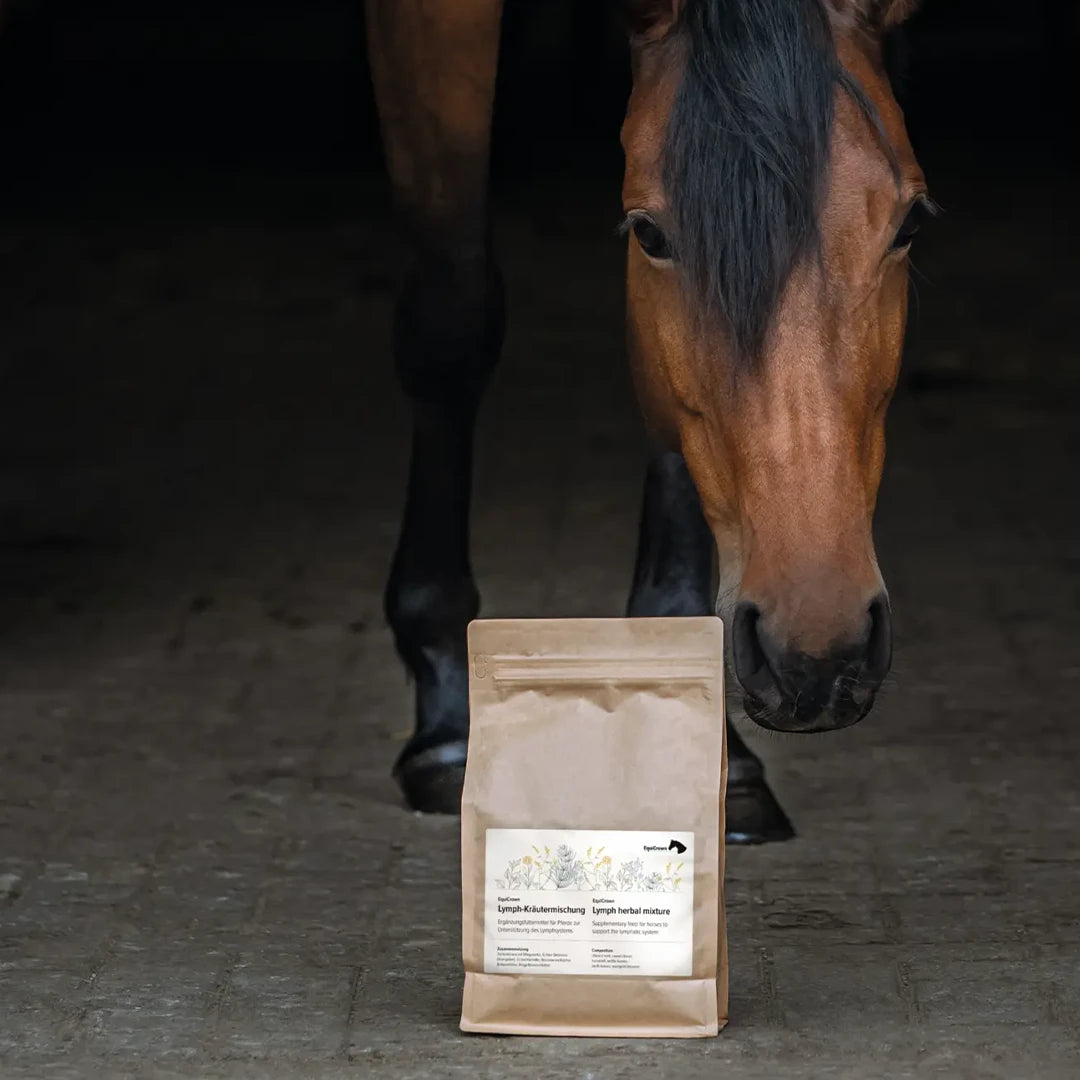 Pferd stupst die Verpackung der EquiCrown Lymph-Krätuermischung an
