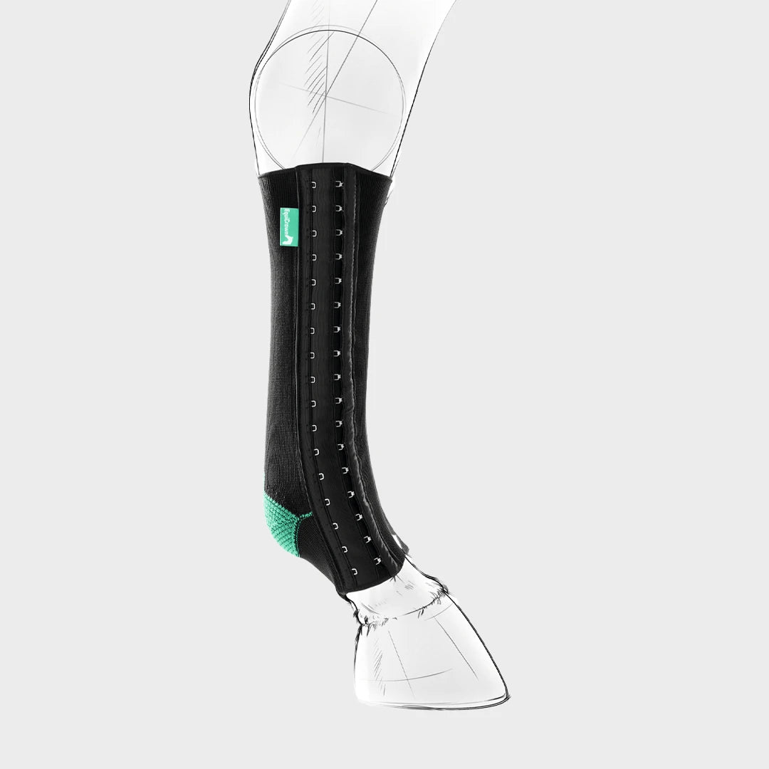 Produktbild von der Vorderseite der EquiCrown fit in grün mit geschlossenen Haken in der zweiten Reihe