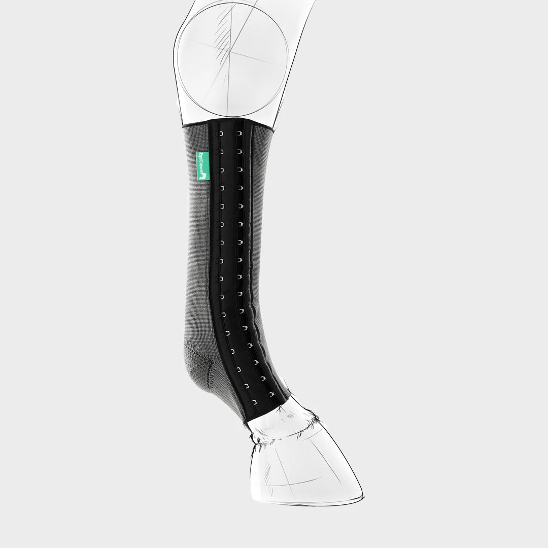 Produktbild der Vorderseite der EquiCrown fit Silver 