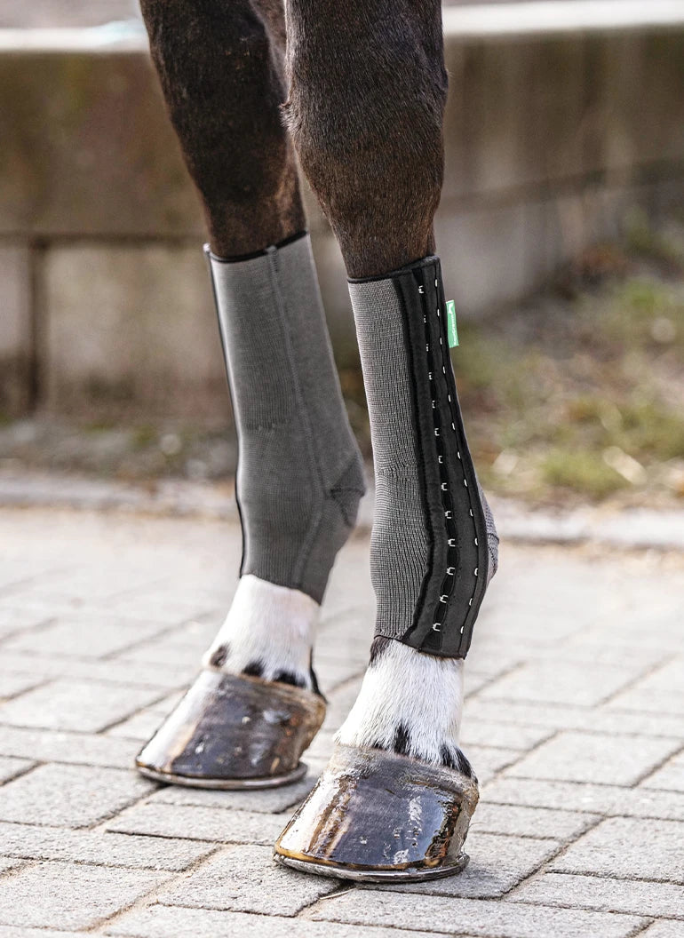 Pferd trägt EquiCrown fit Silver an beiden Hinterfüßen