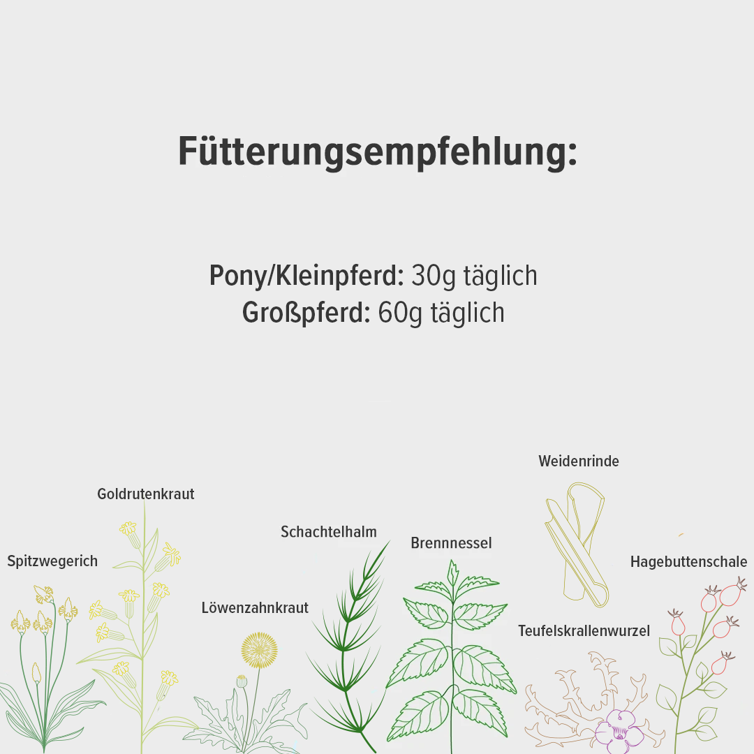Fütterungsempfehlung für die Sehnen-Kräutermischung