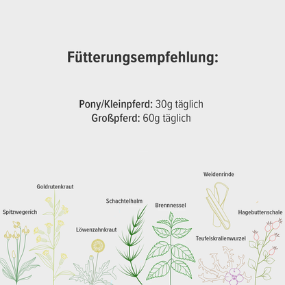 Fütterungsempfehlung für die Sehnen-Kräutermischung