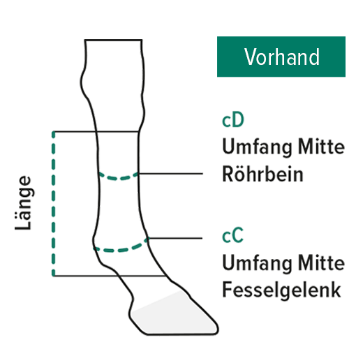 Messanleitung Vorhand